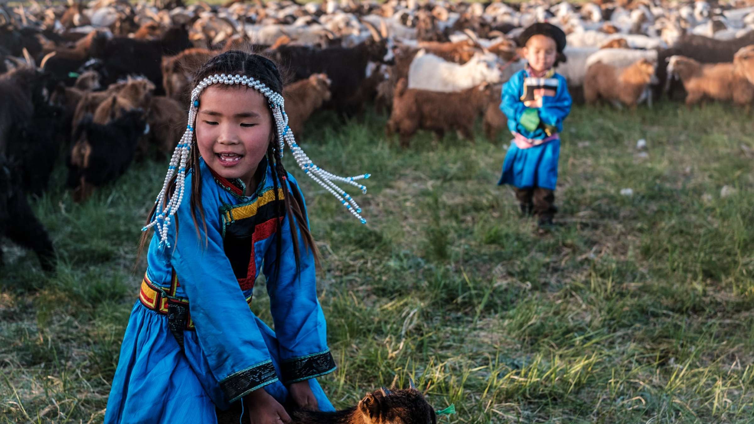 两个笑的孩子穿着传统的蒙古服饰的照片在一个字段开司米山羊