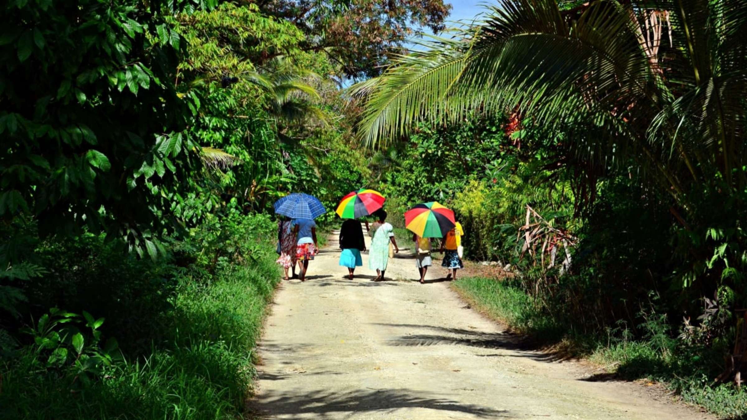 在瓦努阿图的马洛岛上行走的妇女